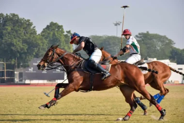 Polo: A Timeless Tradition and the Sport of Kings by Jayraj Sisodia